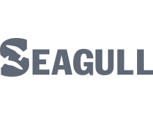 Seagull