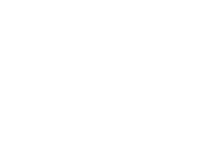 SEAGULL